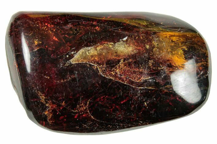 Polished Chiapas Amber ( g) - Mexico #253867